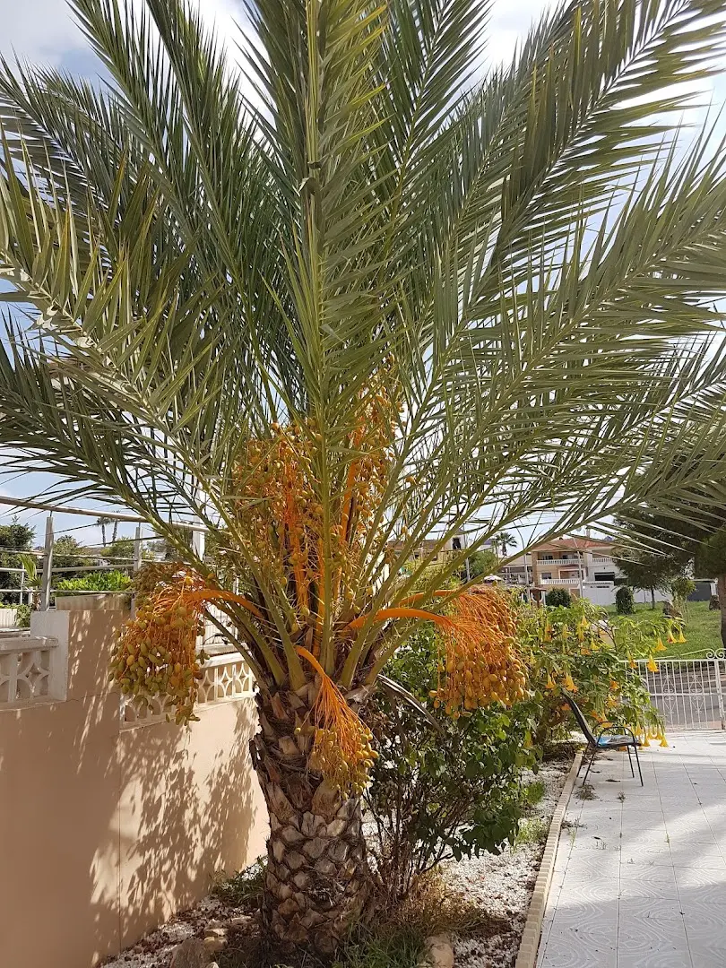 Co.Liv.Finca photo 26