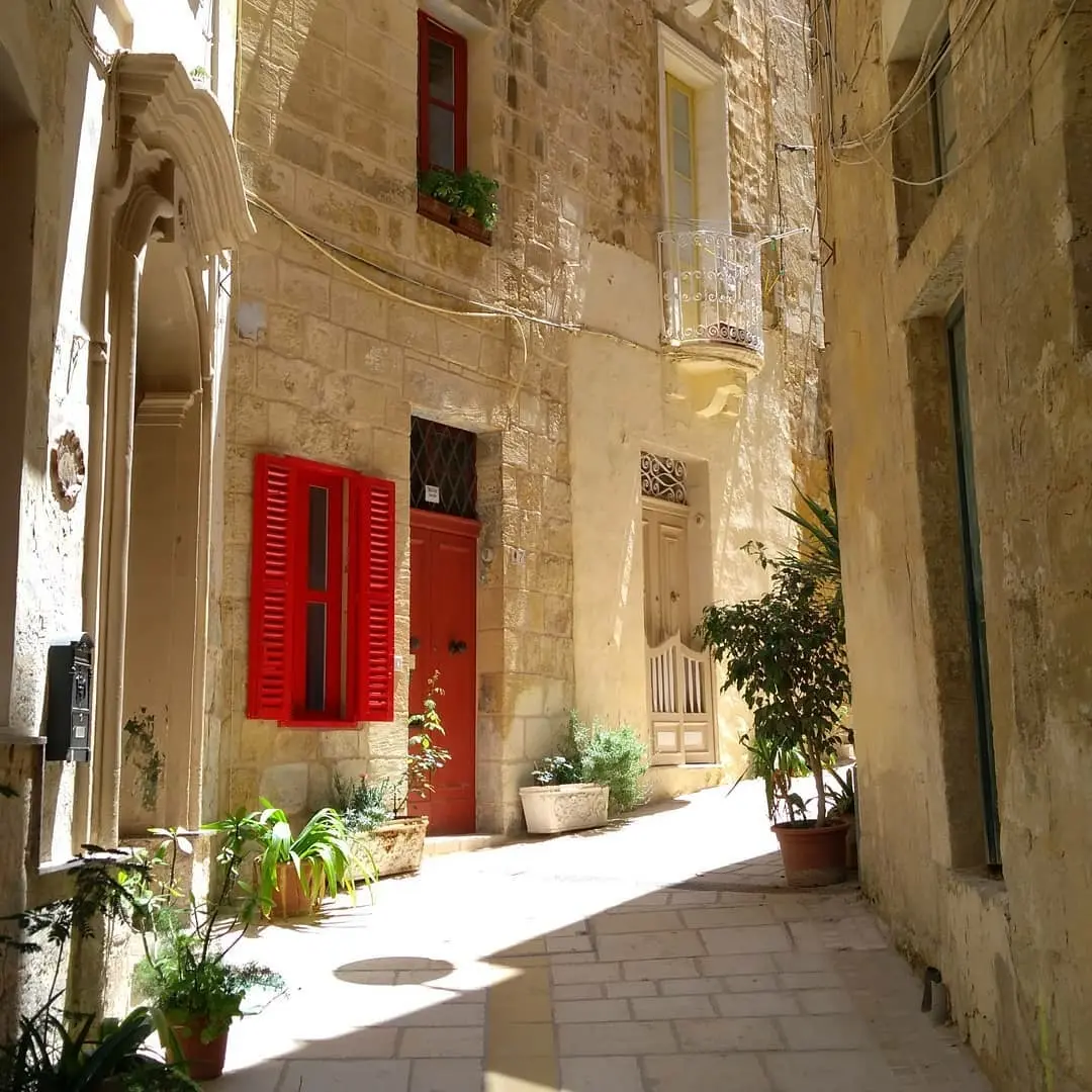 cocohub malta photo