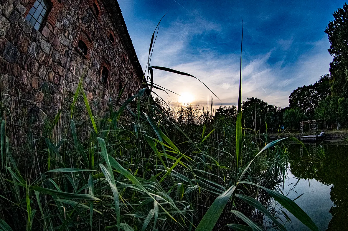 COCONAT photo
