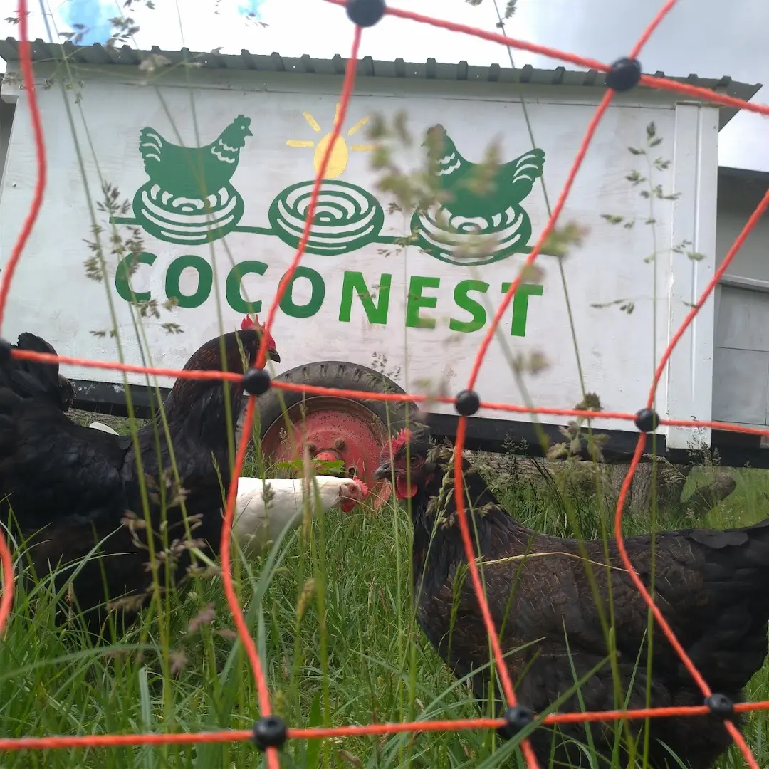 COCONAT photo