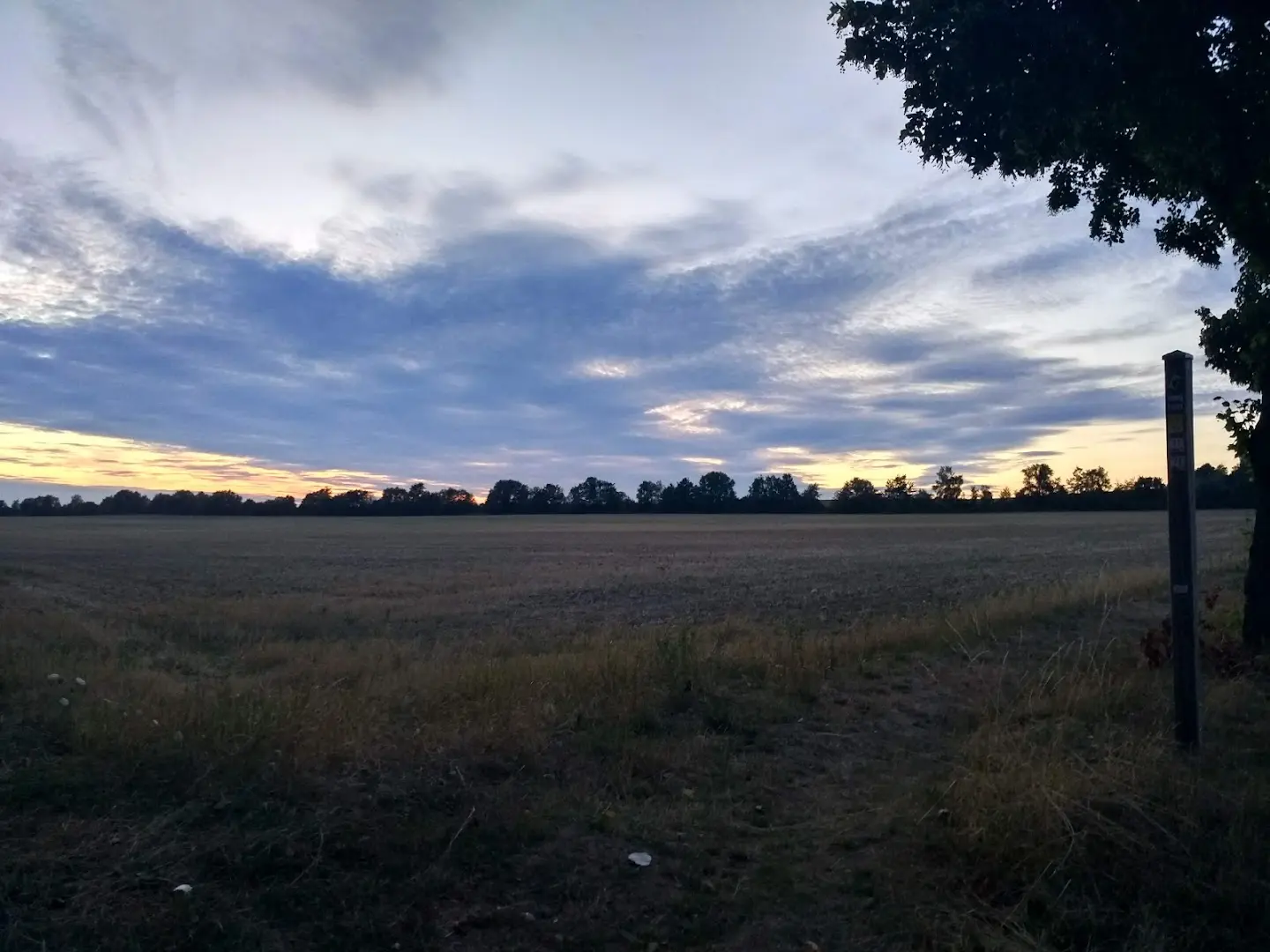 COCONAT photo