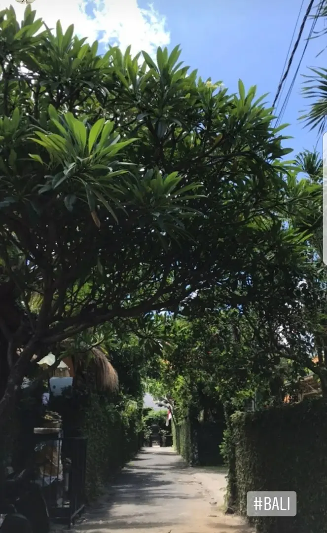 Colive me Coliving & Coworking, Skate pool and surf school Bali photo
