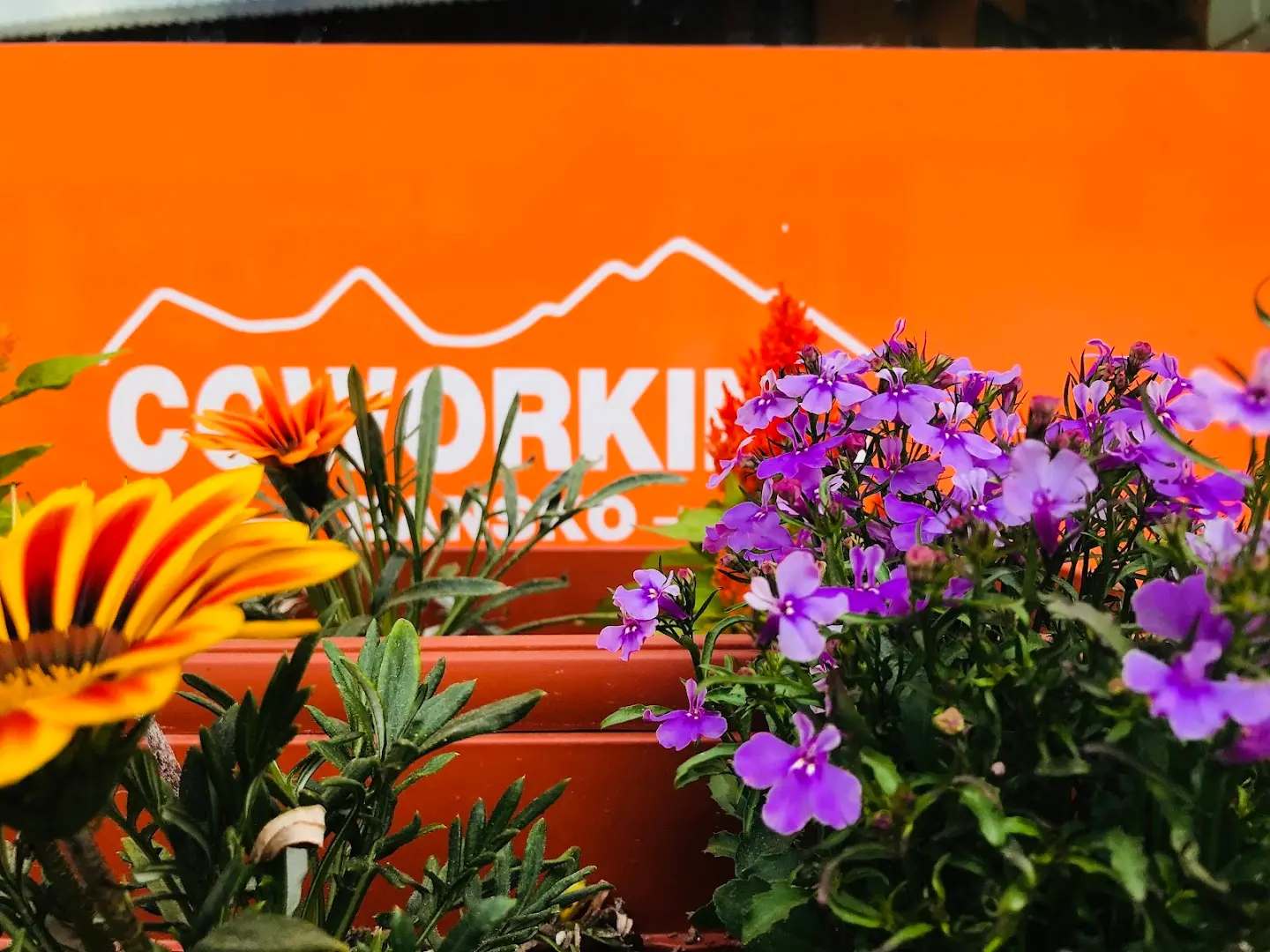 Coworking Bansko photo