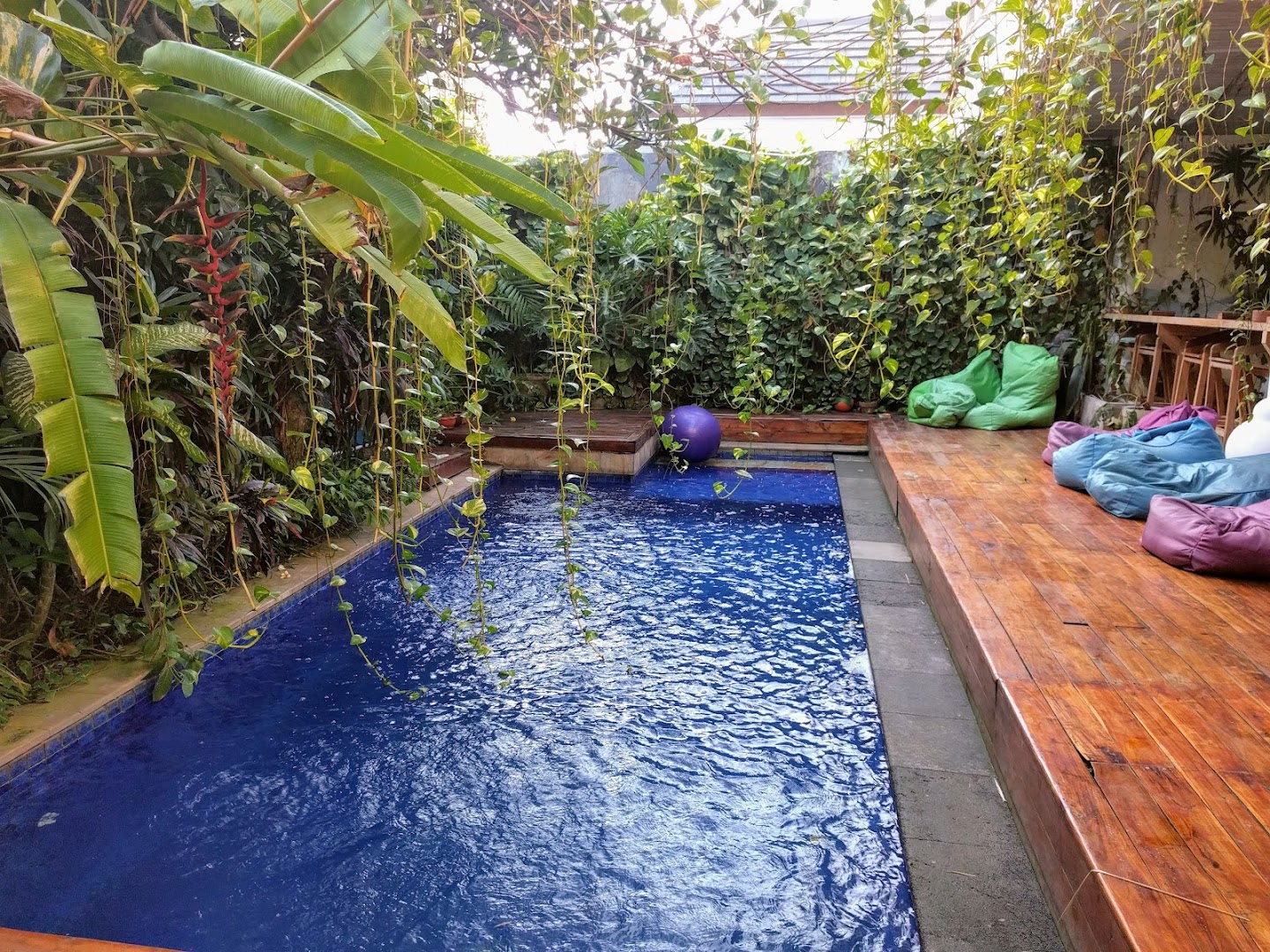 Dojo Bali Coworking photo