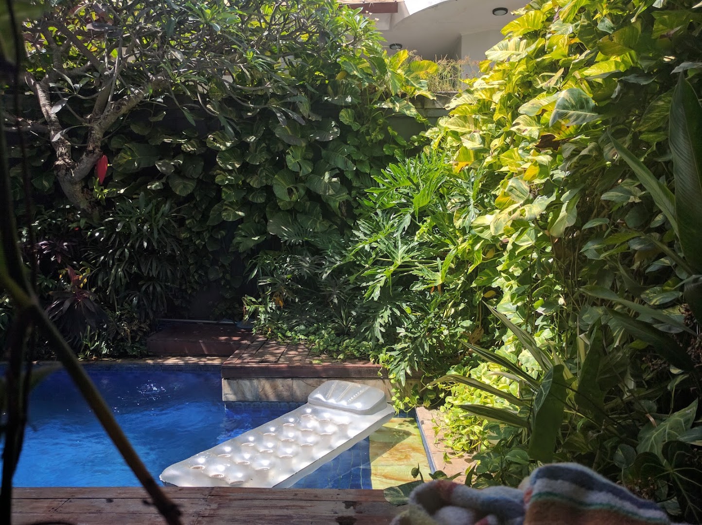 Dojo Bali Coworking photo