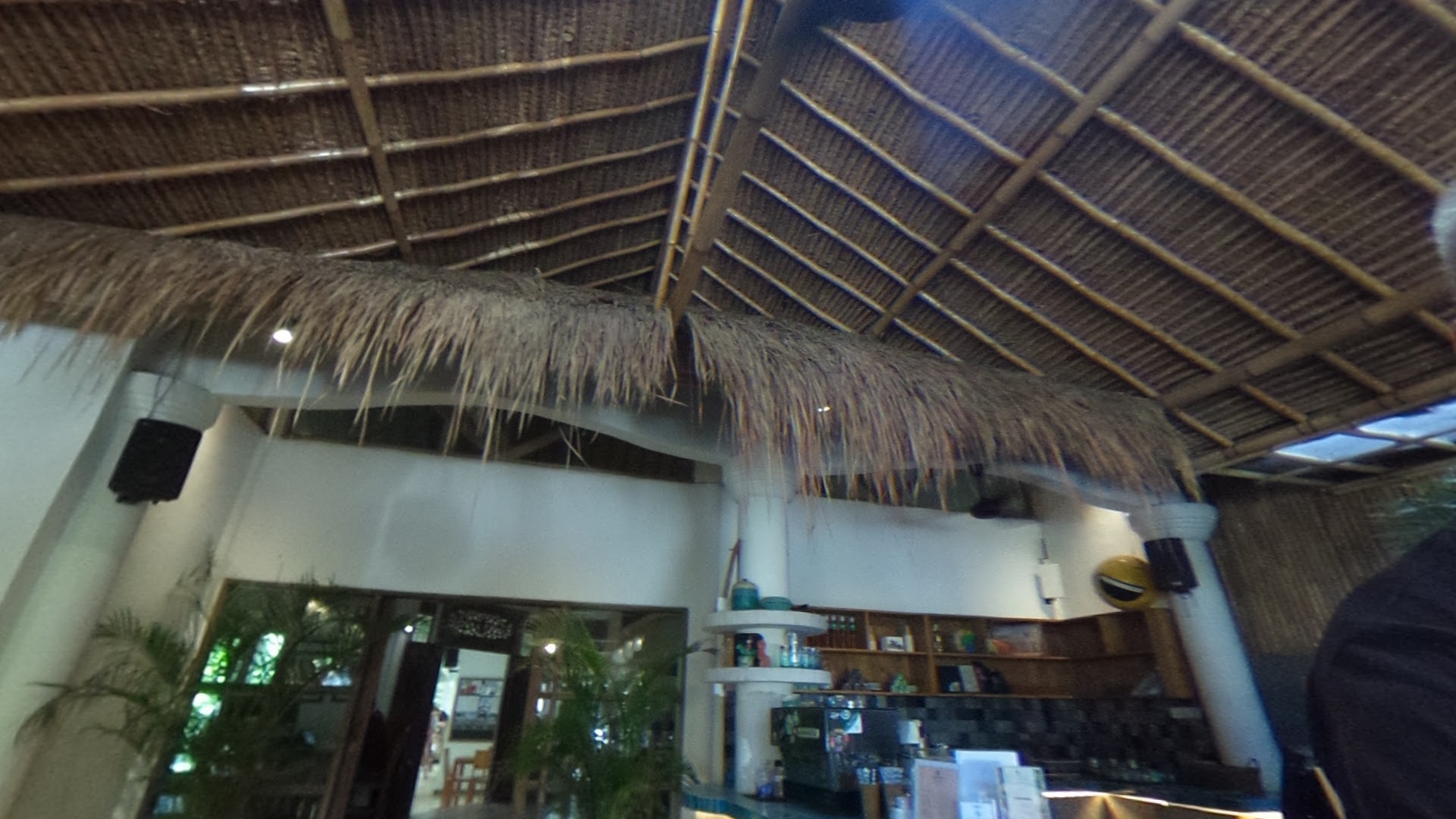 Dojo Bali Coworking photo