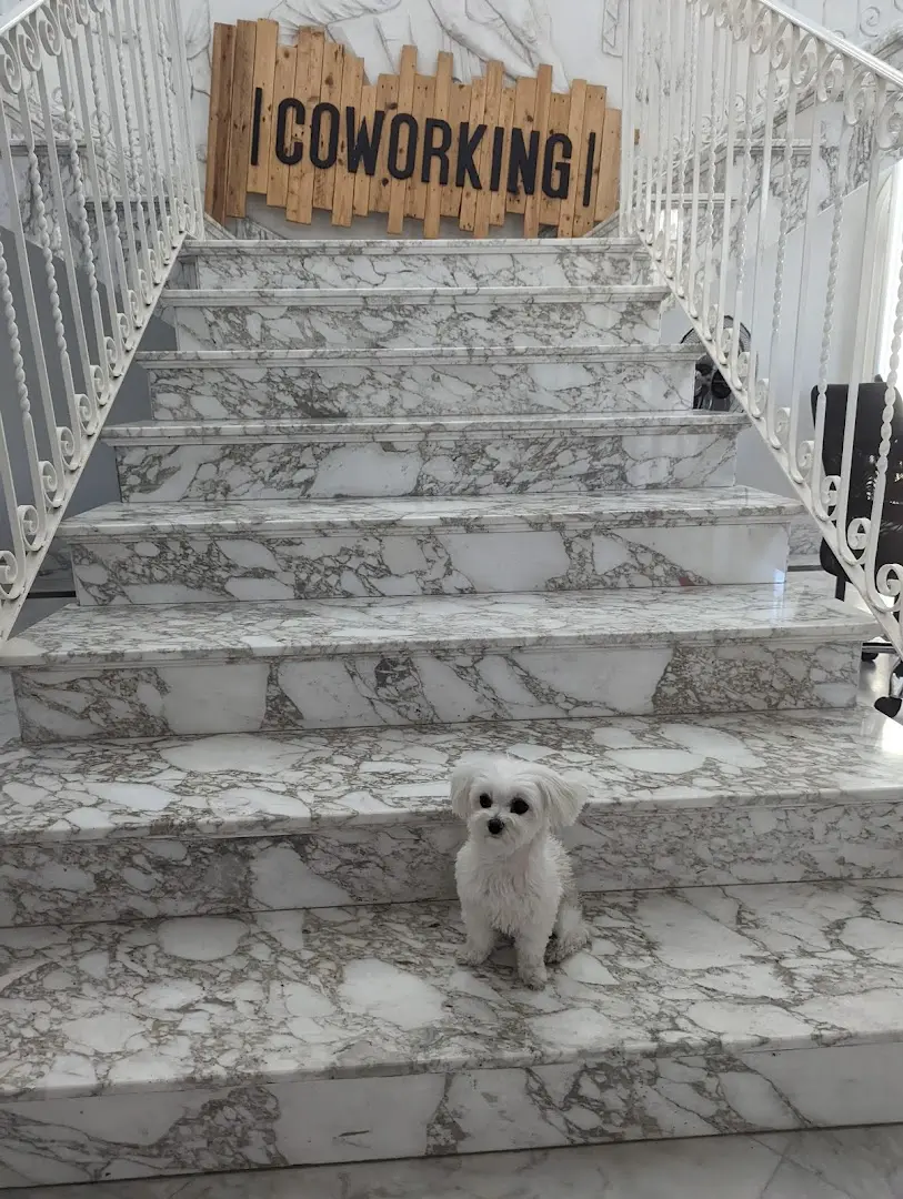 EVOLVE Coliving Coworking Malta  WF6G+QM San Ġwann photo