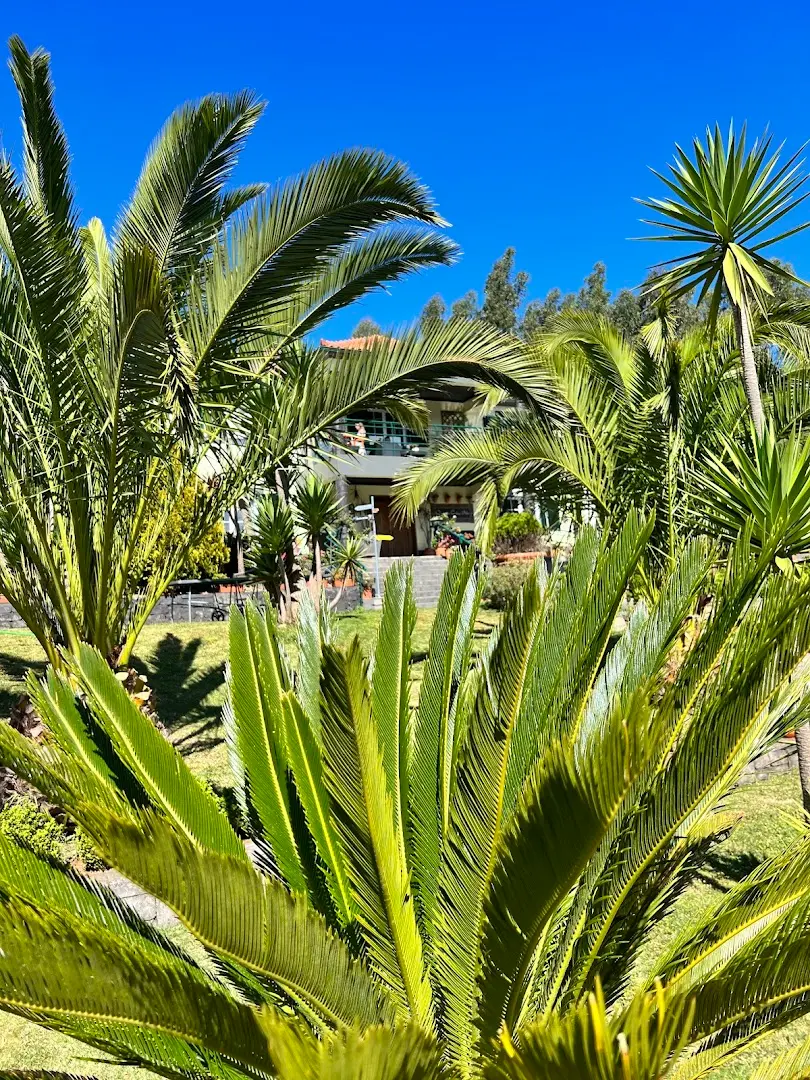 Homeoffice Madeira | CoWorking + CoLiving photo