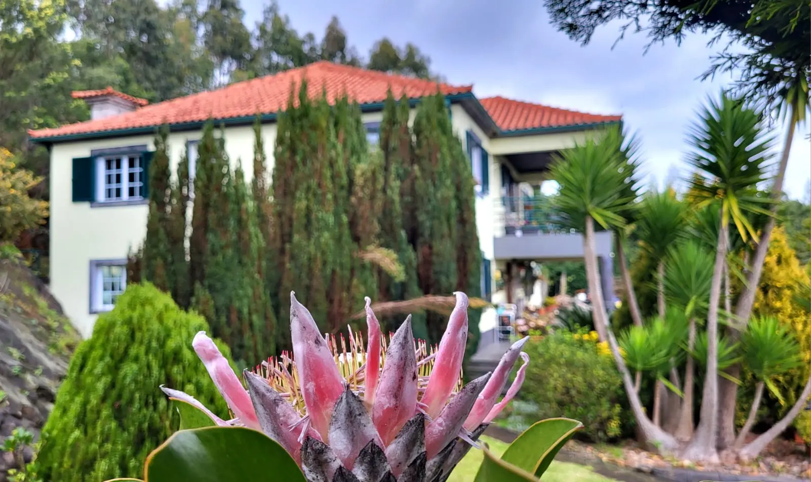 Homeoffice Madeira | CoWorking + CoLiving photo