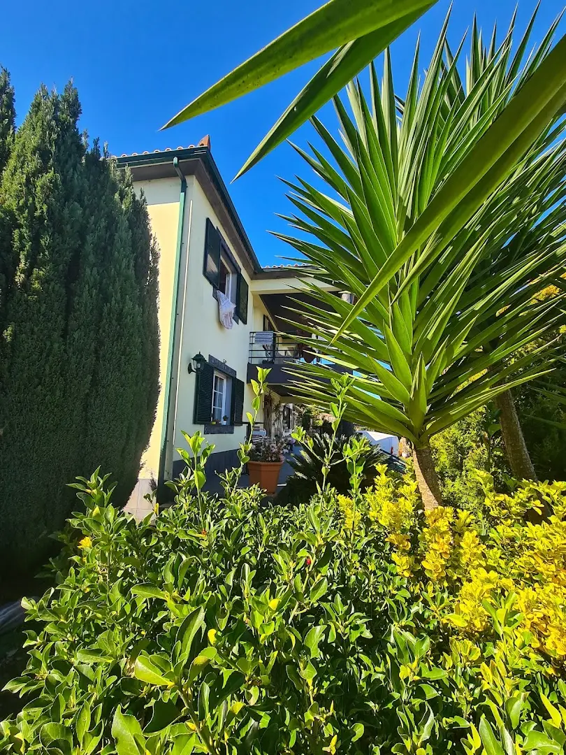 Homeoffice Madeira | CoWorking + CoLiving photo