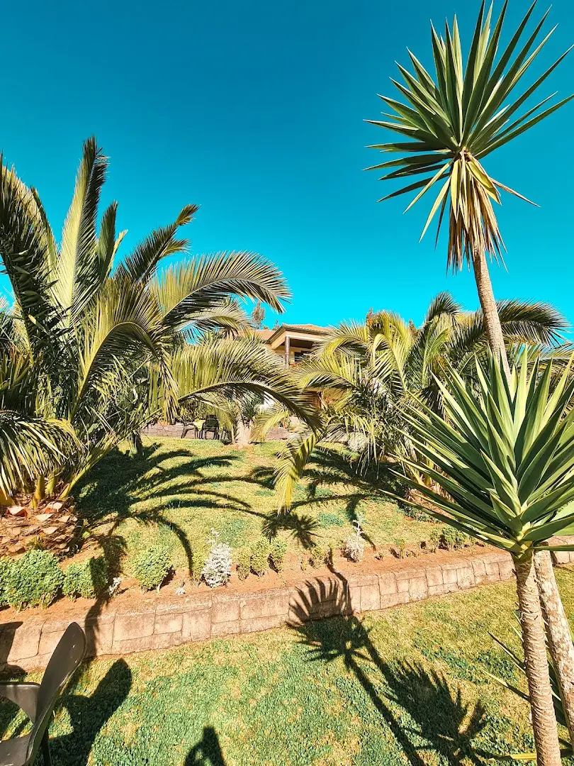 Homeoffice Madeira | CoWorking + CoLiving photo