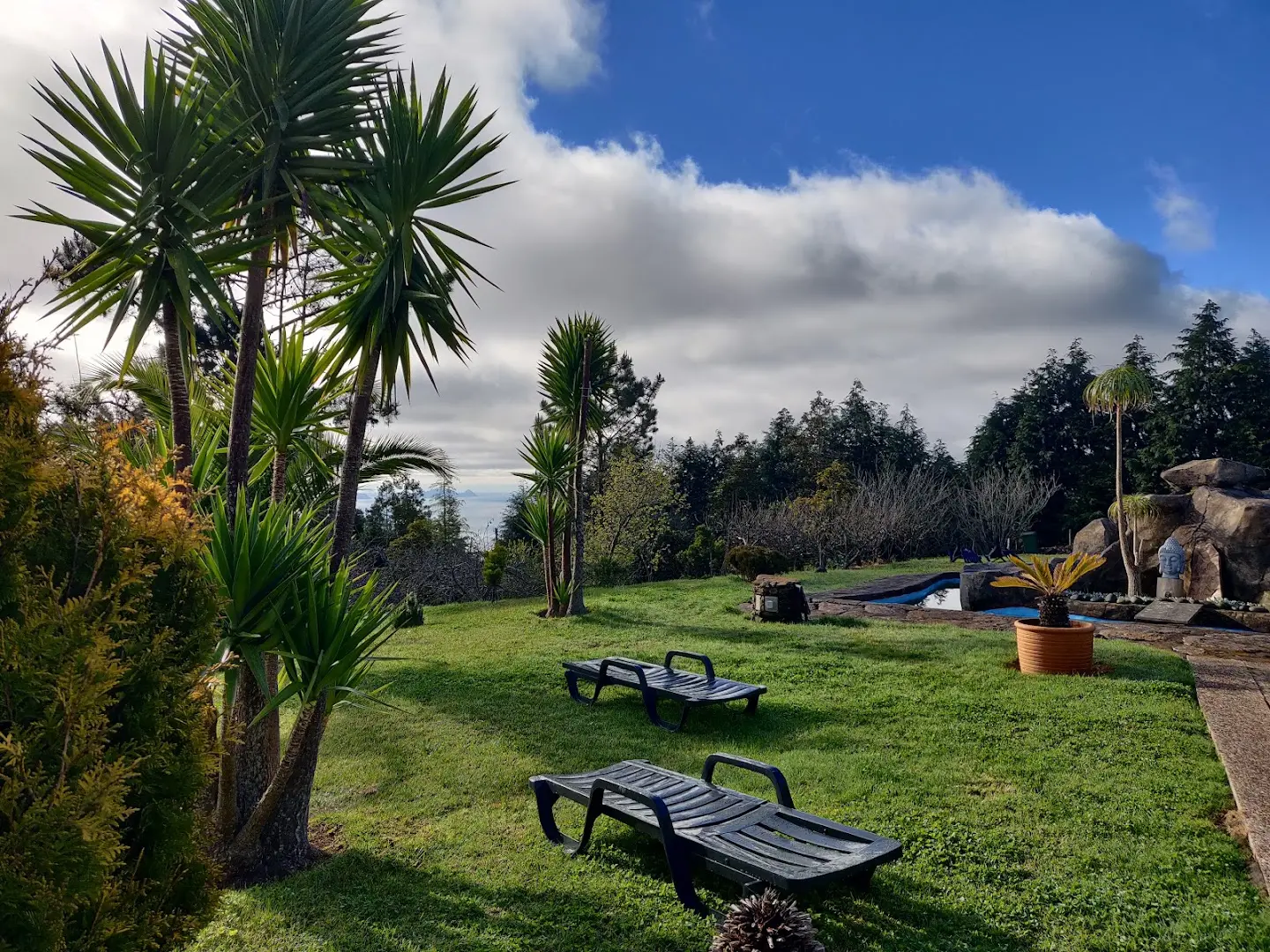 Homeoffice Madeira | CoWorking + CoLiving photo