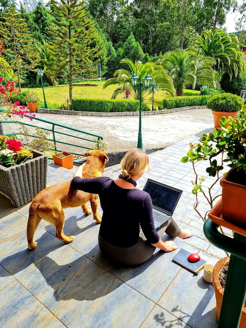 Homeoffice Madeira | CoWorking + CoLiving photo