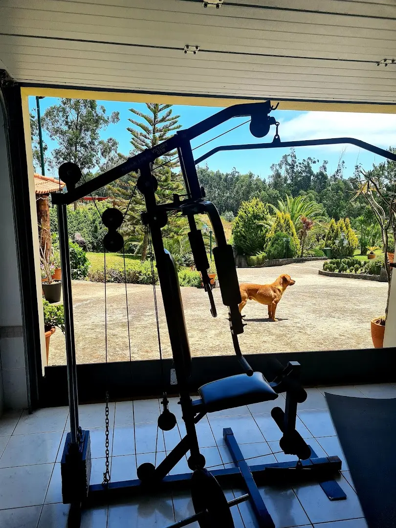 Homeoffice Madeira | CoWorking + CoLiving photo