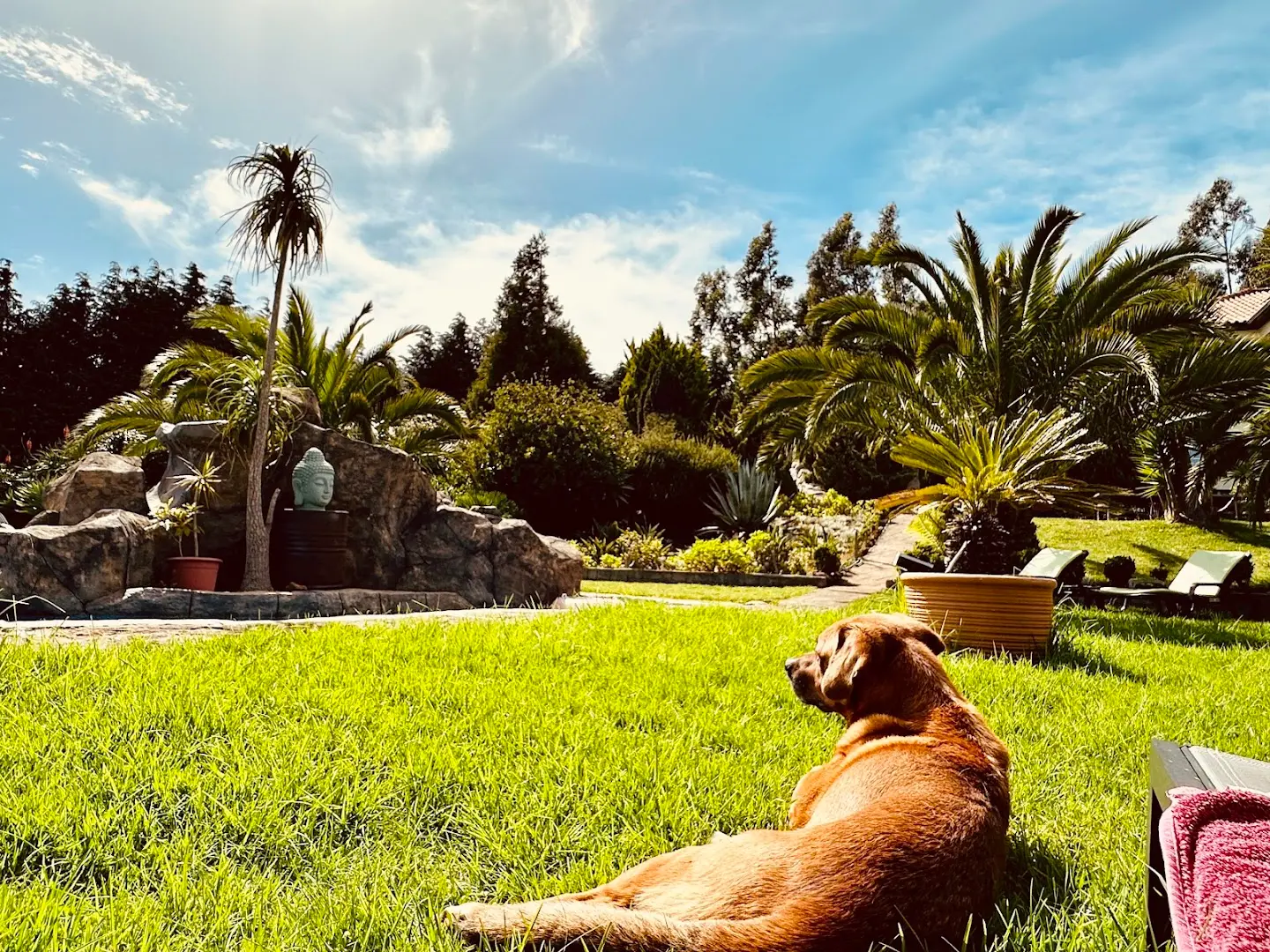 Homeoffice Madeira | CoWorking + CoLiving photo