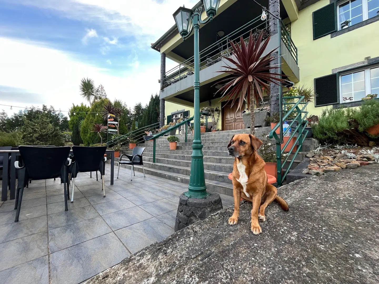 Homeoffice Madeira | CoWorking + CoLiving photo