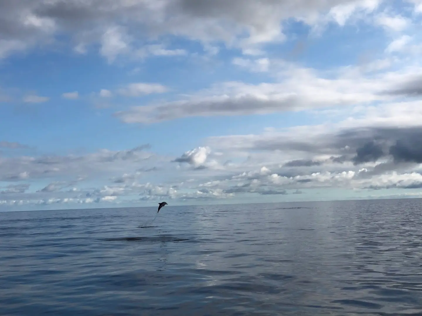Homeoffice Madeira | CoWorking + CoLiving photo