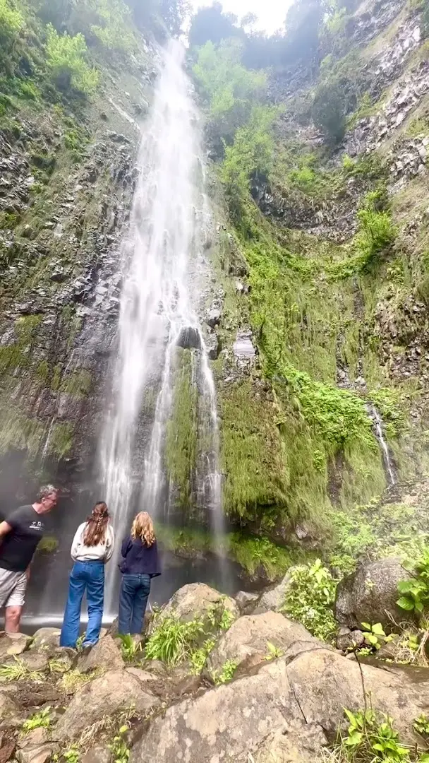 Homeoffice Madeira | CoWorking + CoLiving photo