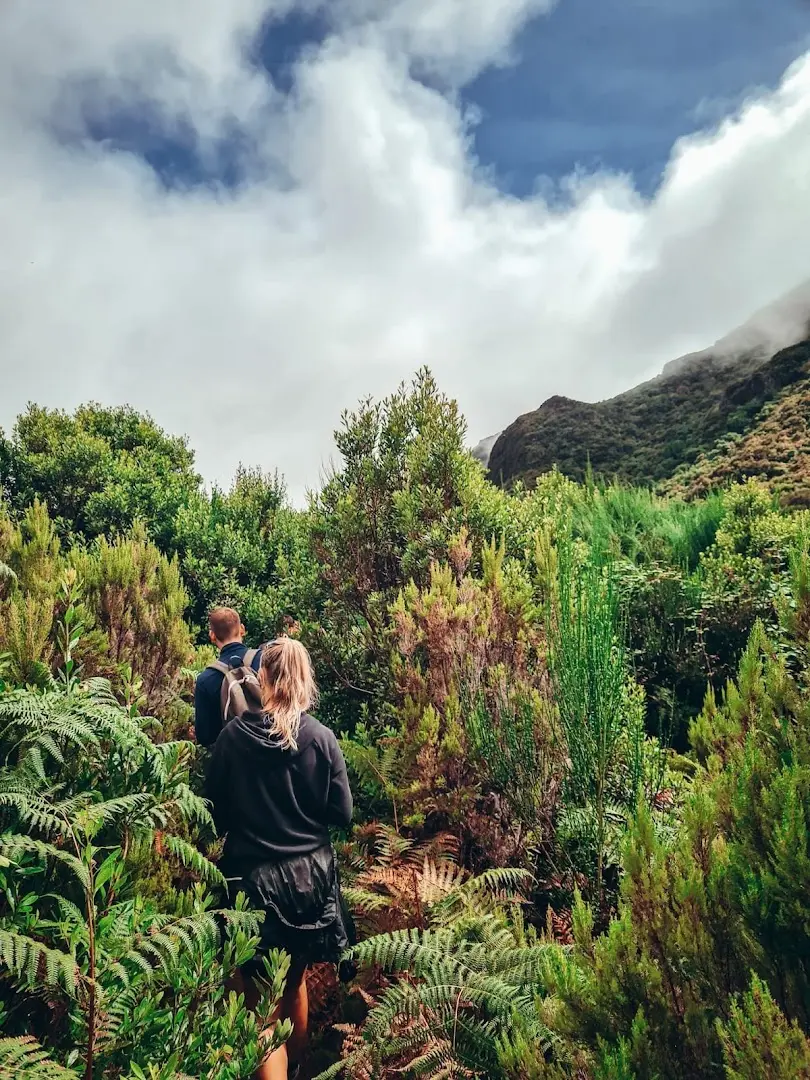 Homeoffice Madeira | CoWorking + CoLiving photo