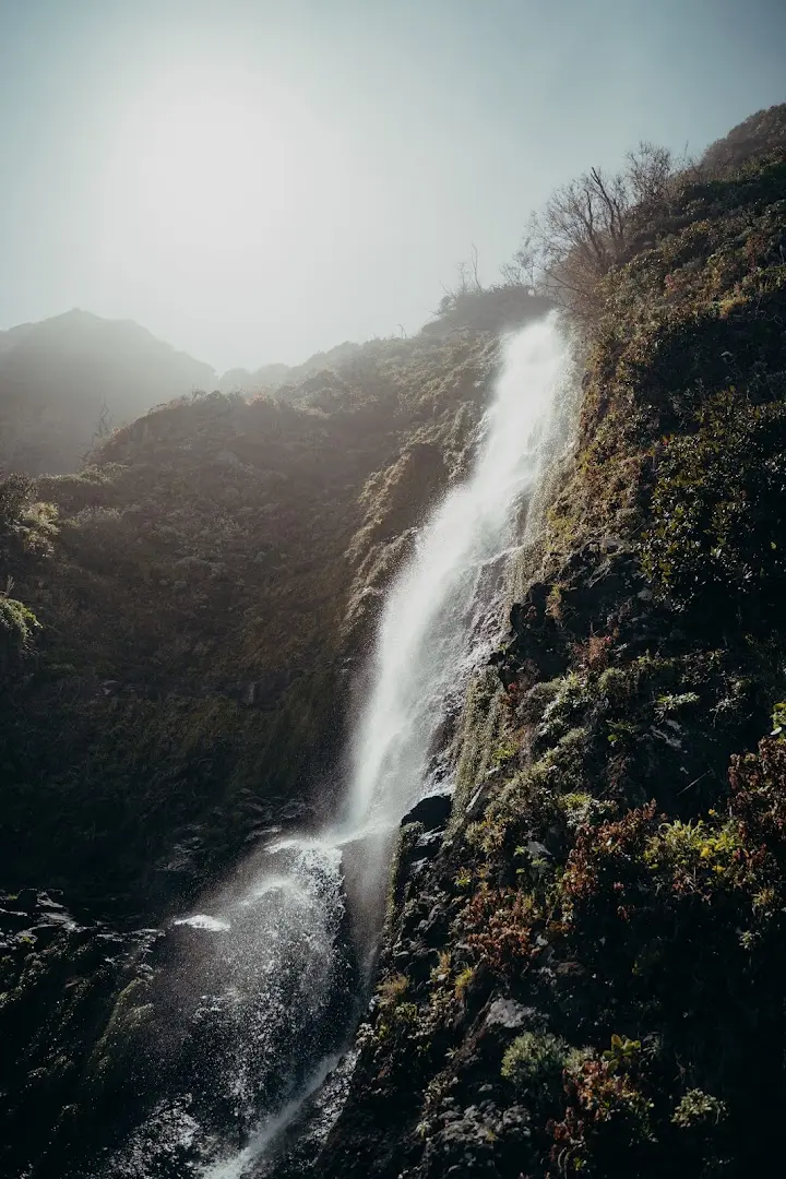 Homeoffice Madeira | CoWorking + CoLiving photo