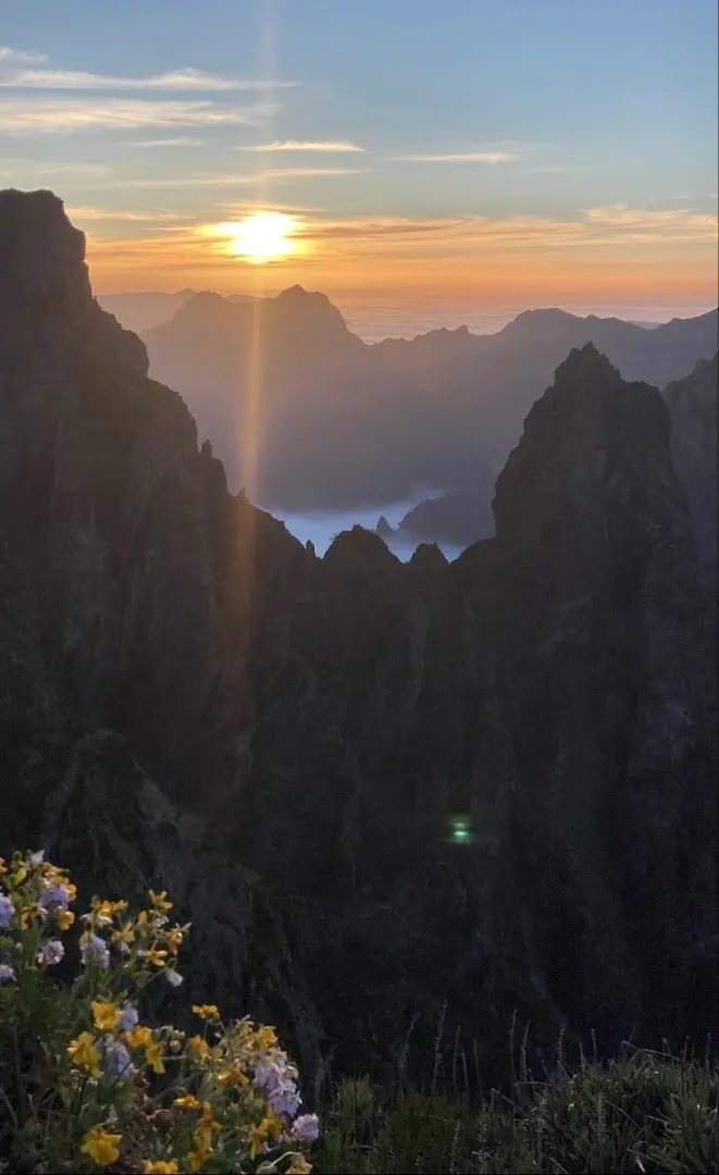 Homeoffice Madeira | CoWorking + CoLiving photo