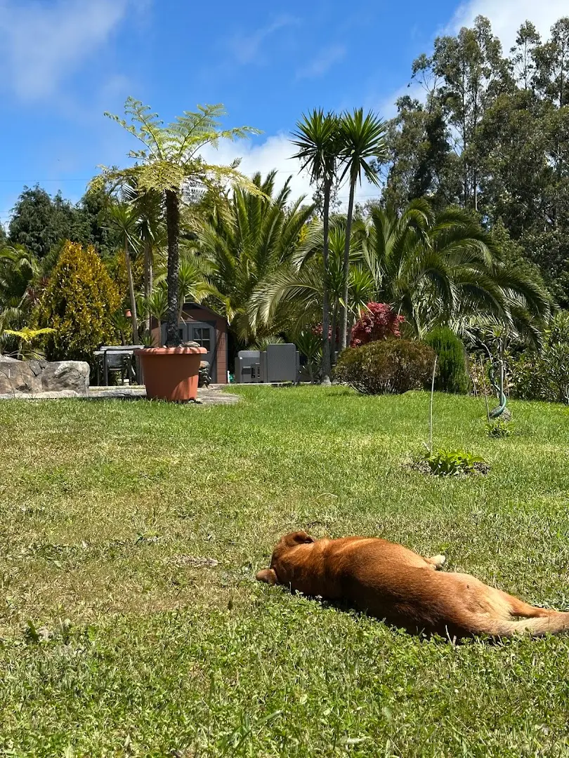 Homeoffice Madeira | CoWorking + CoLiving photo