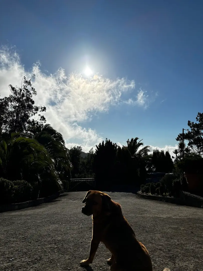 Homeoffice Madeira | CoWorking + CoLiving photo