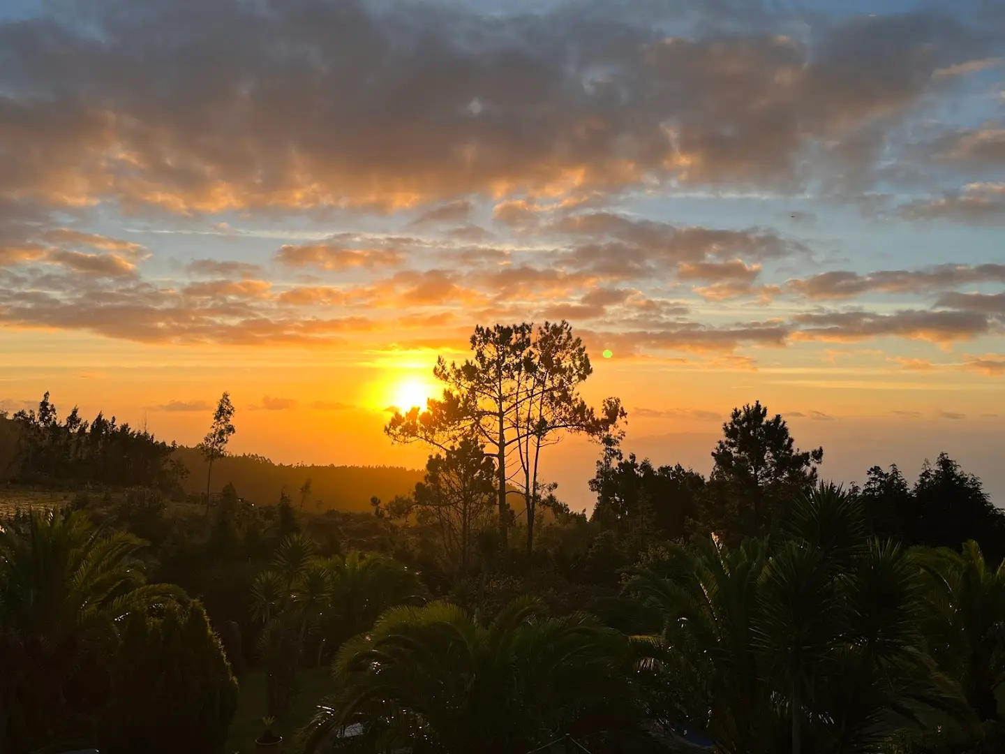 Homeoffice Madeira | CoWorking + CoLiving photo
