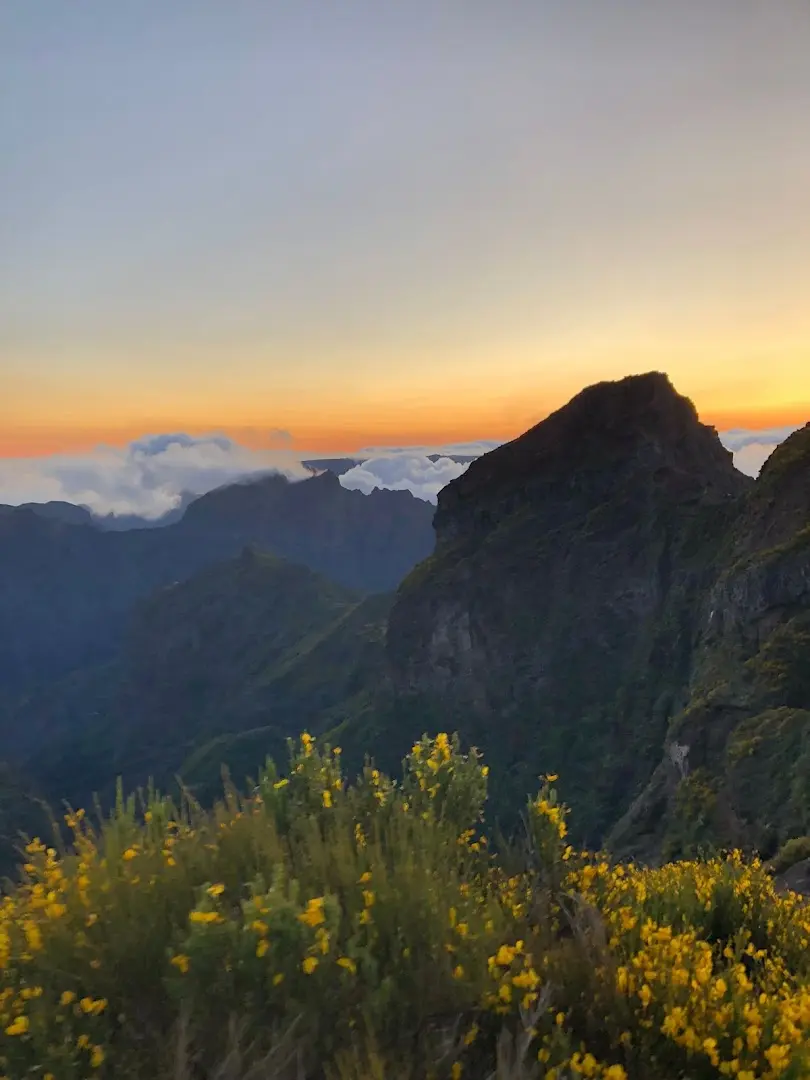 Homeoffice Madeira | CoWorking + CoLiving photo