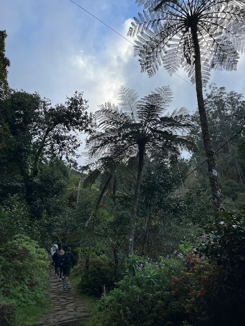 Homeoffice Madeira | CoWorking + CoLiving photo
