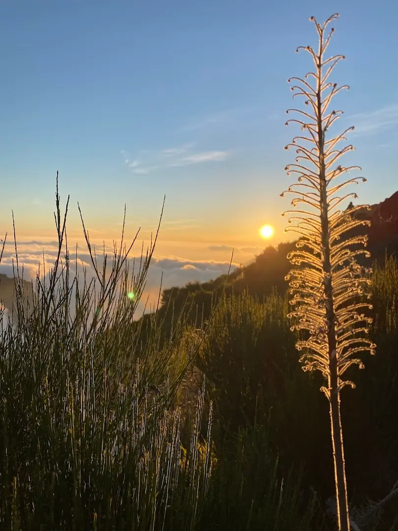 Homeoffice Madeira | CoWorking + CoLiving photo
