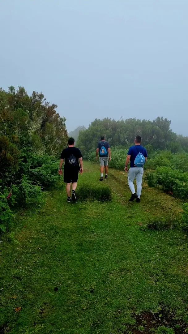 Homeoffice Madeira | CoWorking + CoLiving photo