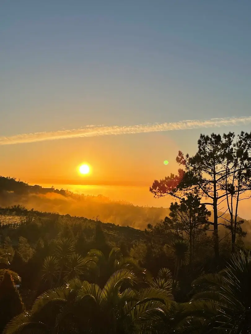 Homeoffice Madeira | CoWorking + CoLiving photo