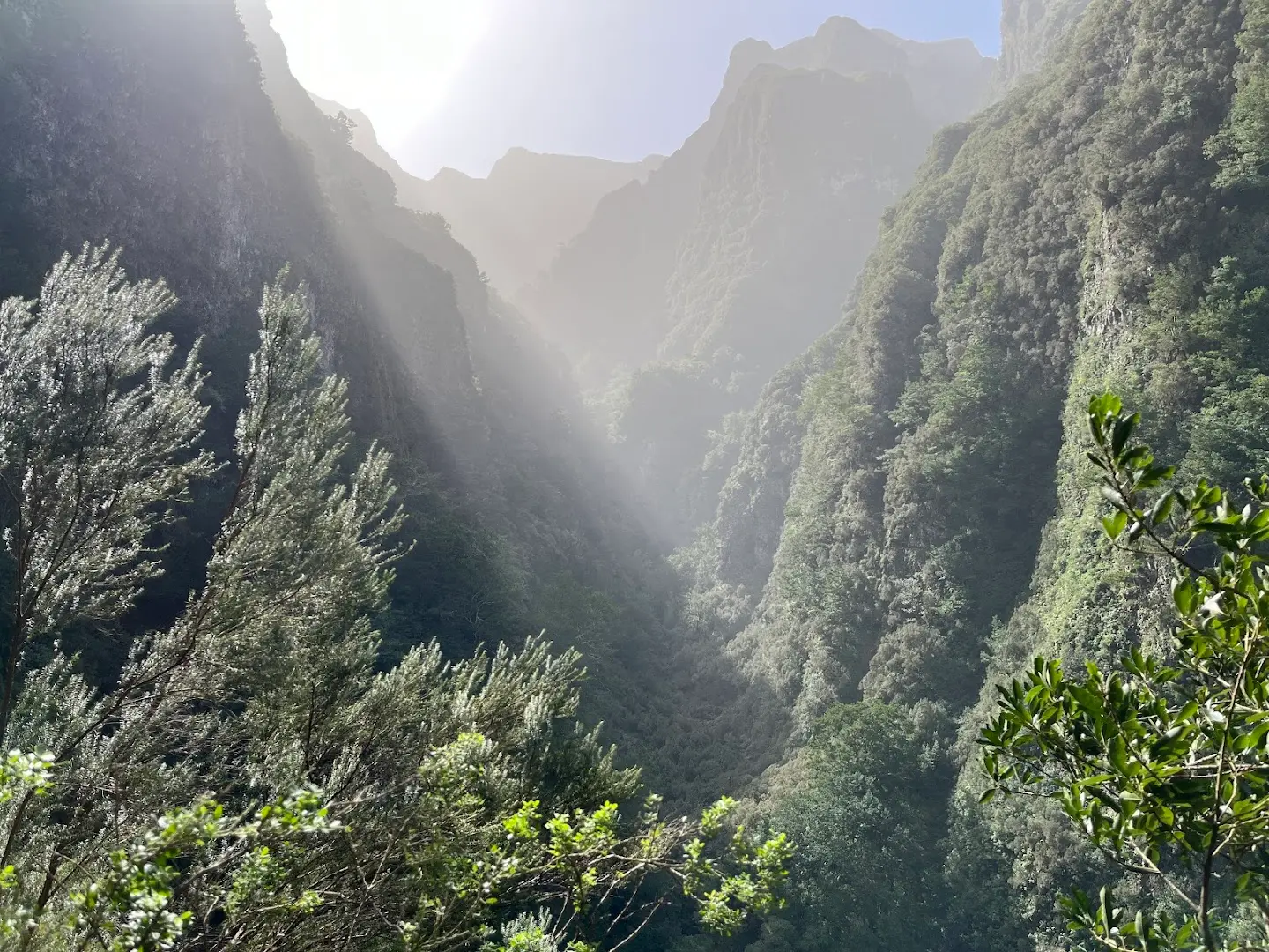 Homeoffice Madeira | CoWorking + CoLiving photo