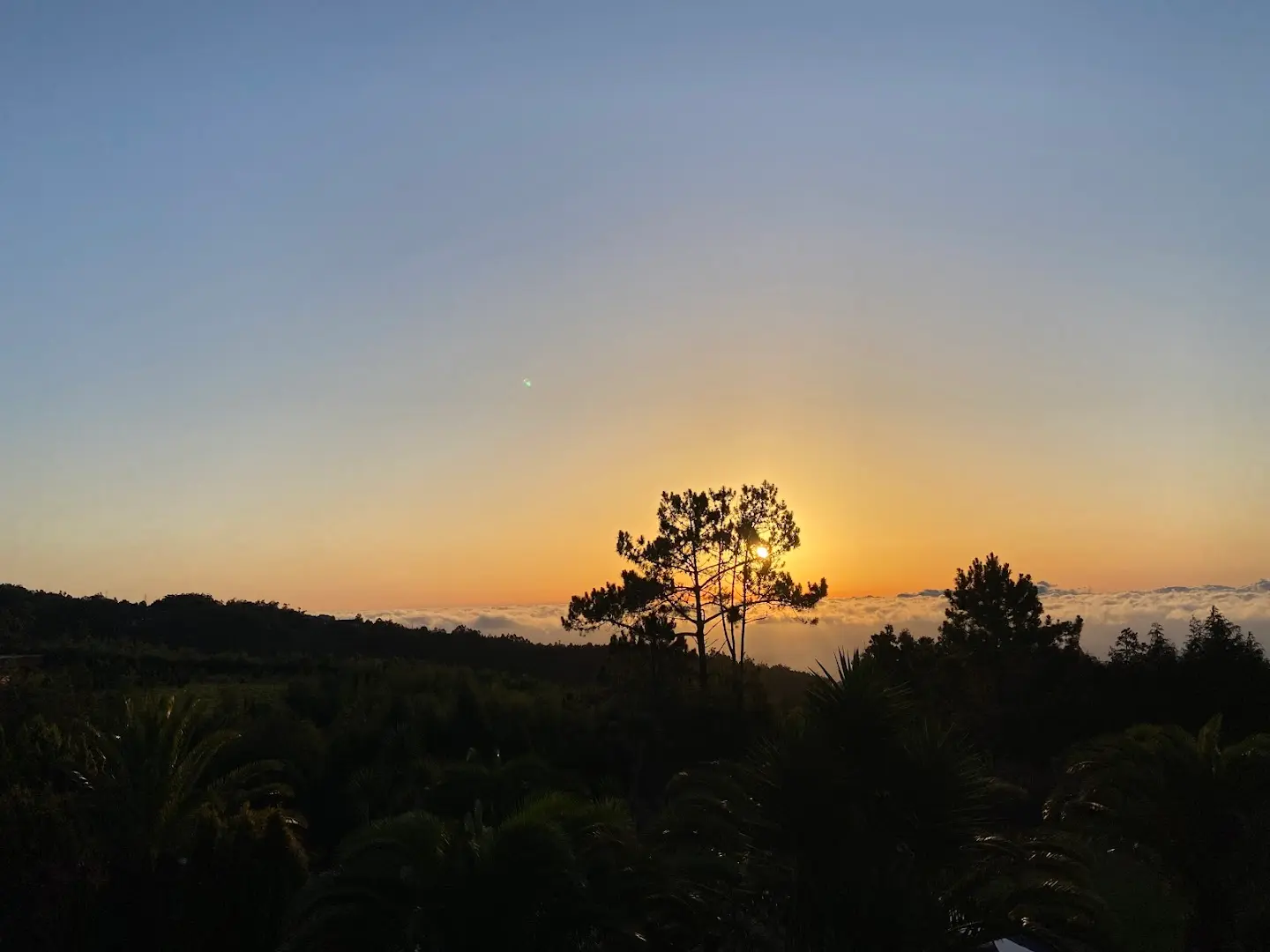 Homeoffice Madeira | CoWorking + CoLiving photo