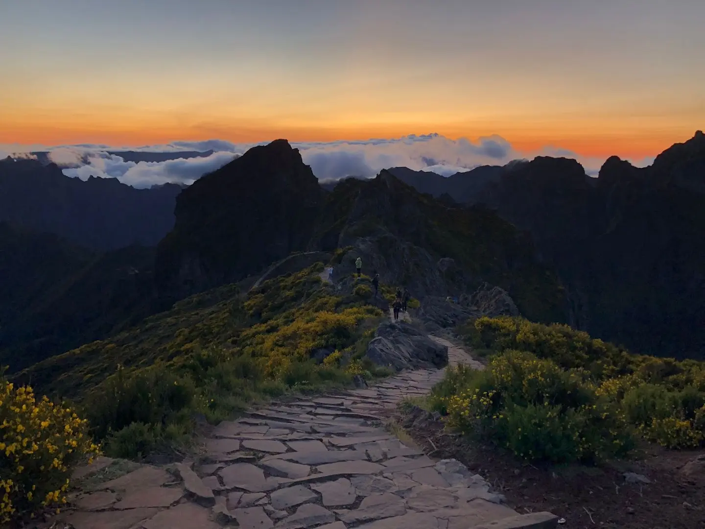 Homeoffice Madeira | CoWorking + CoLiving photo