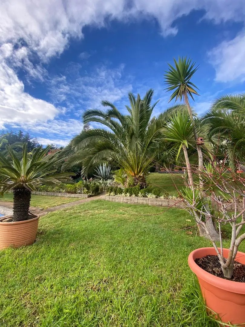 Homeoffice Madeira | CoWorking + CoLiving photo