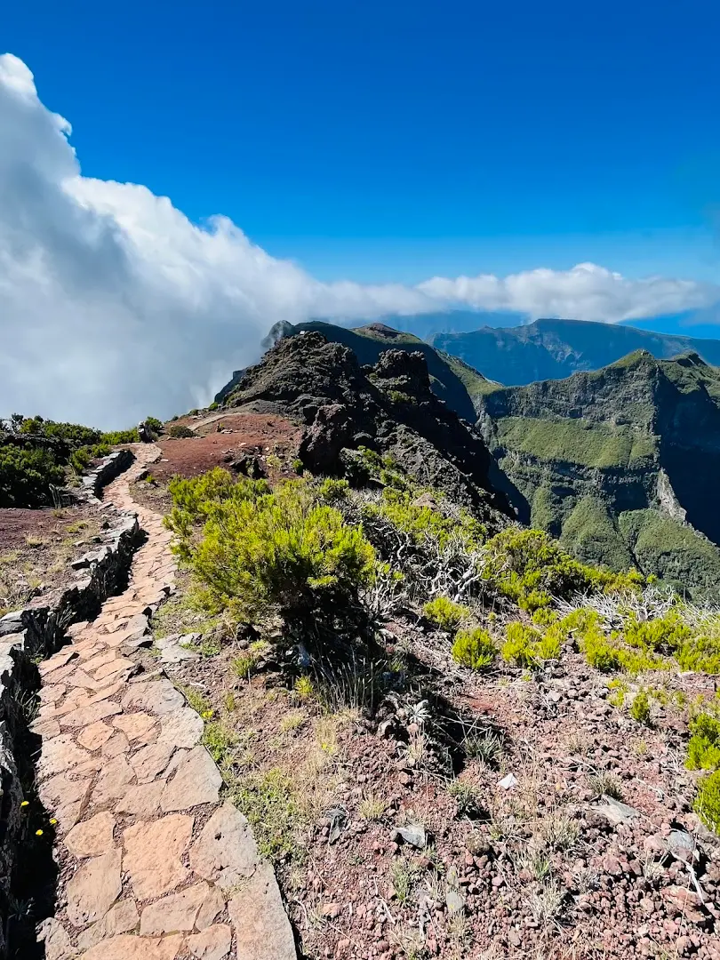Homeoffice Madeira | CoWorking + CoLiving photo