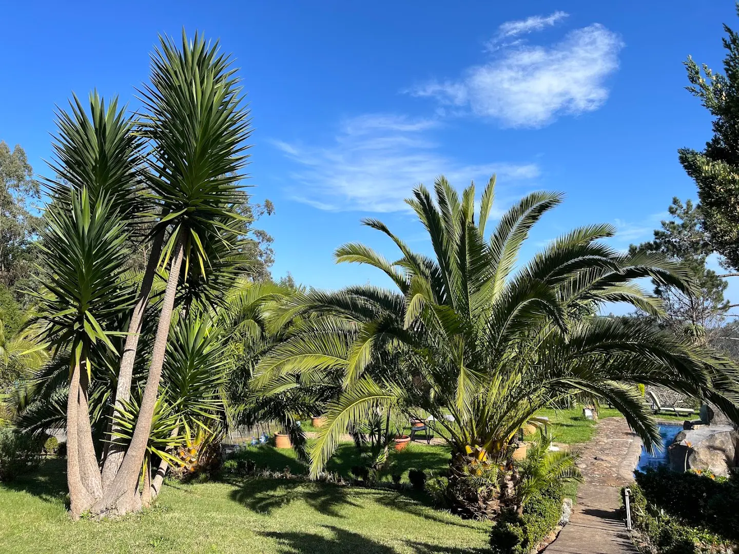 Homeoffice Madeira | CoWorking + CoLiving photo