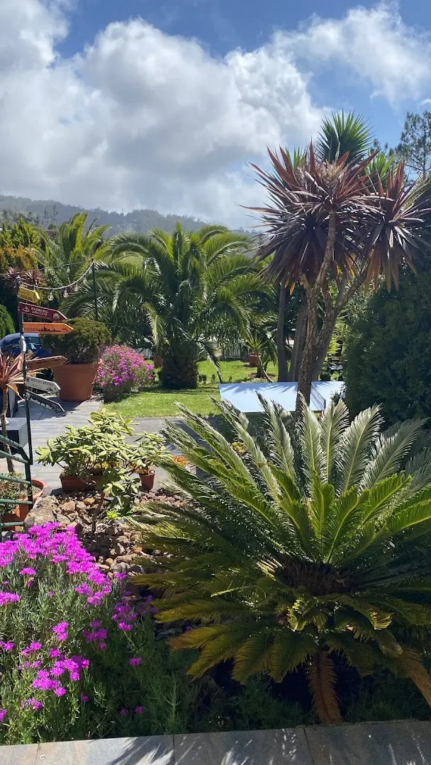 Homeoffice Madeira | CoWorking + CoLiving photo