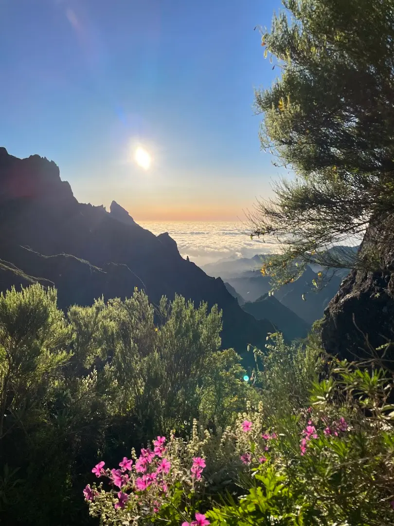 Homeoffice Madeira | CoWorking + CoLiving photo