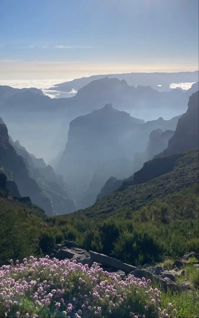 Homeoffice Madeira | CoWorking + CoLiving photo