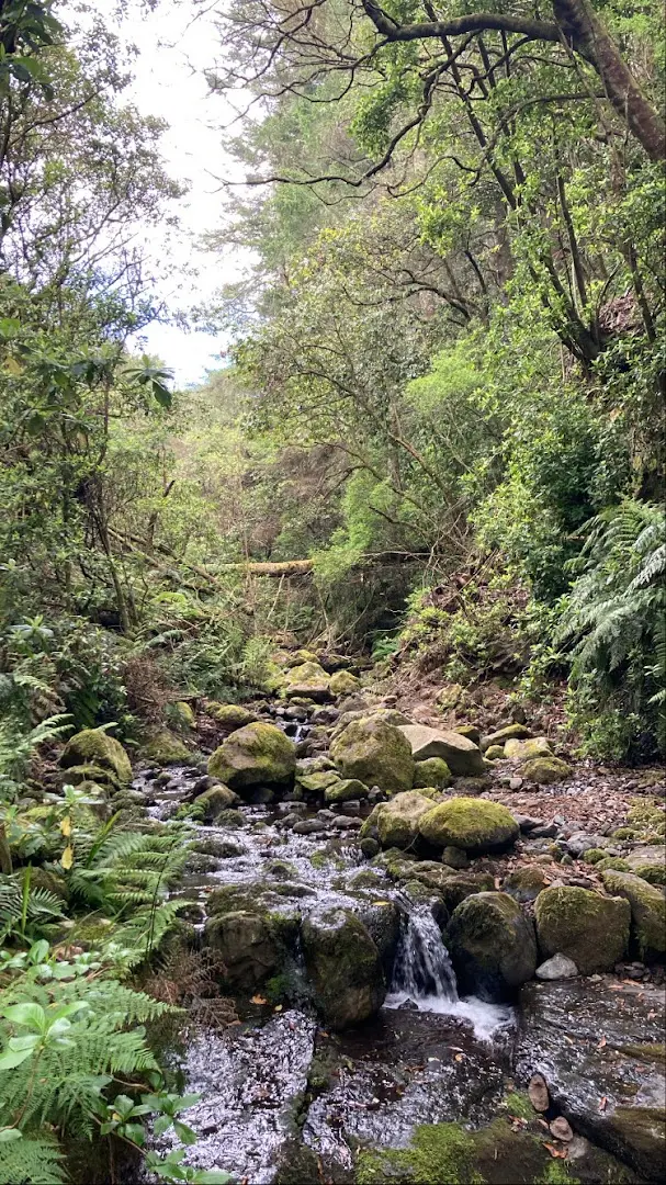 Homeoffice Madeira | CoWorking + CoLiving photo