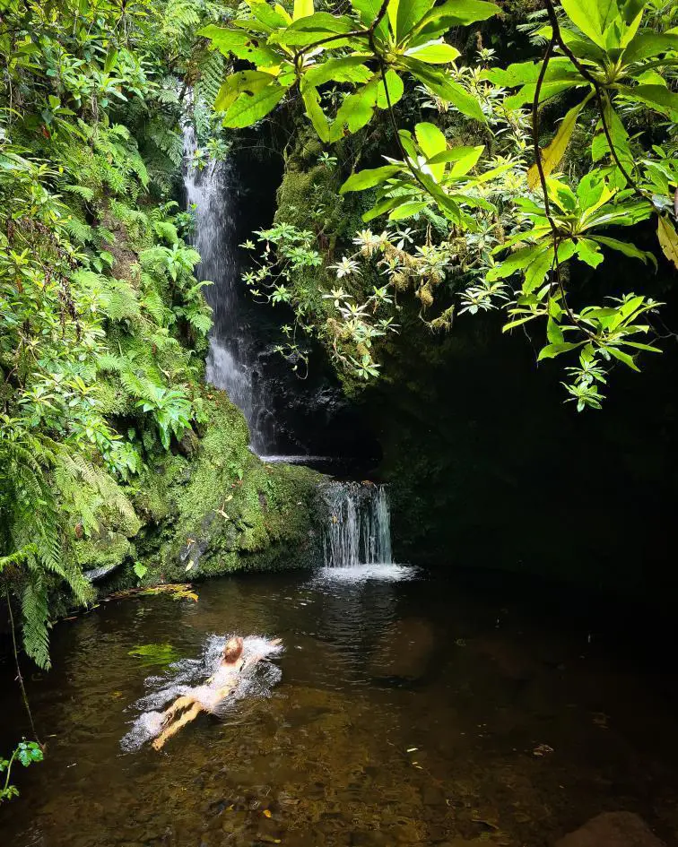 Homeoffice Madeira | CoWorking + CoLiving photo