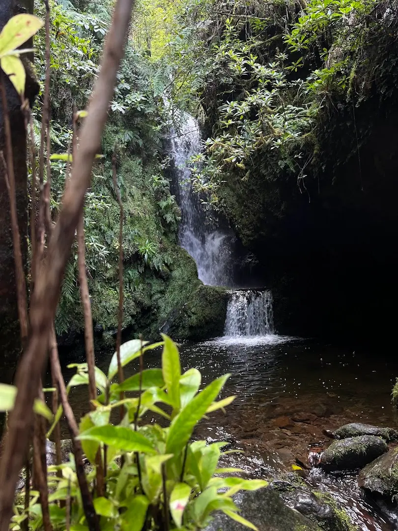 Homeoffice Madeira | CoWorking + CoLiving photo