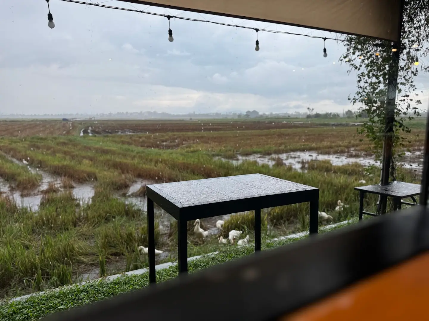 Hub Hoi An Coworking photo