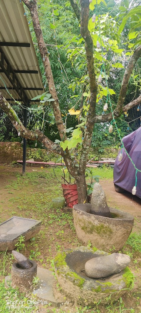 NomadGao Assagao - A Digital Nomad Community photo