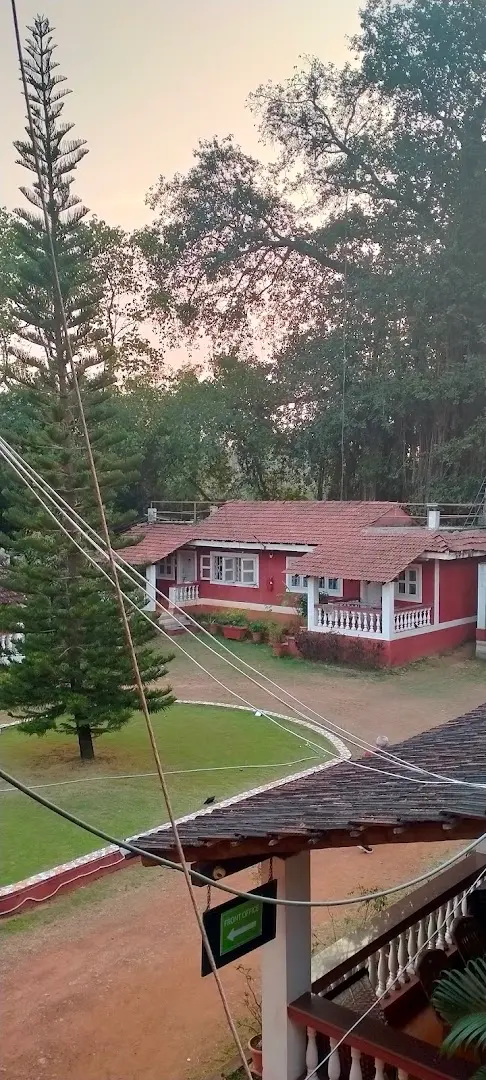 NomadGao Assagao - A Digital Nomad Community photo