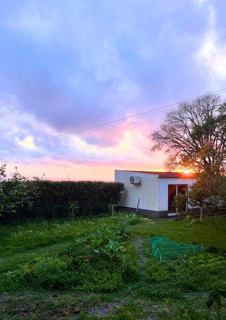 Novovento Coliving Azores photo