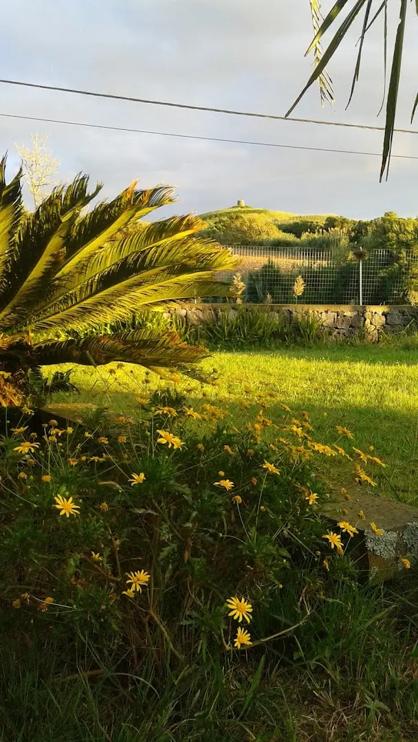 Novovento Coliving Azores photo